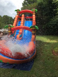 Tropical Plunge IMG 7127 1724267228 Tropical Plunge