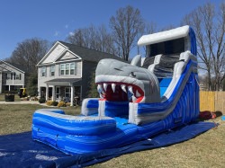 IMG 6527 1745521830 18ft Water Slide - Blue Shark Attack