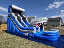 IMG 6529 1745521830 18ft Water Slide - Blue Shark Attack