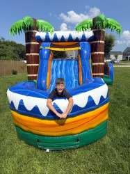 IMG 1042 1765554032 Paradise Palms