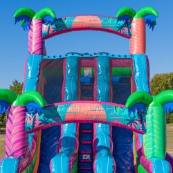 DJI 20251105144055 0008 D 1767898744 Electric Tropics